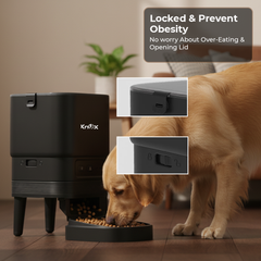 PF13 Single Bowl Automatic Pet Feeder 4L