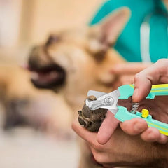 PCA-03 Pet Nail Clipper & Nail Fail