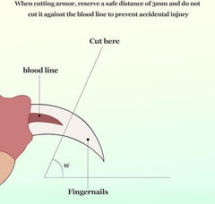PCA-03 Pet Nail Clipper & Nail Fail