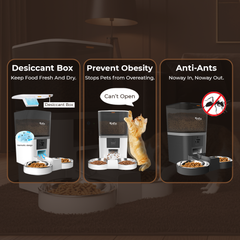 QQ009 Smart Dual Bowl Automatic Pet Feeder 6L