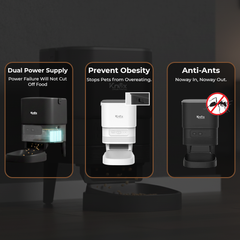 PF13 Single Bowl Automatic Pet Feeder 4L