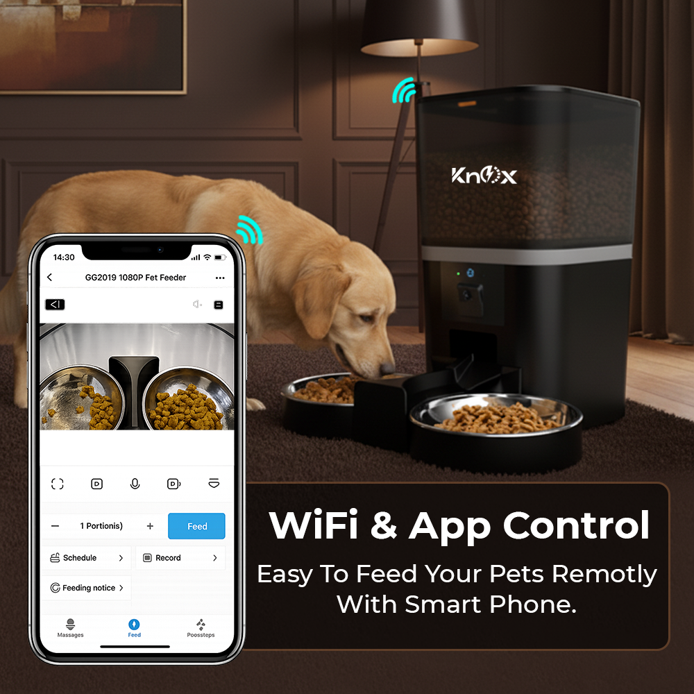 QQ009 Smart Dual Bowl Automatic Pet Feeder 6L