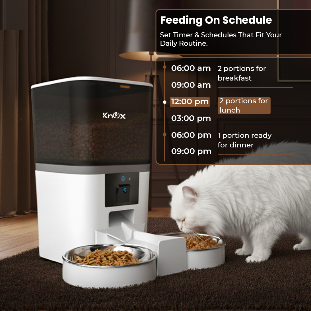QQ009 Smart Dual Bowl Automatic Pet Feeder 6L