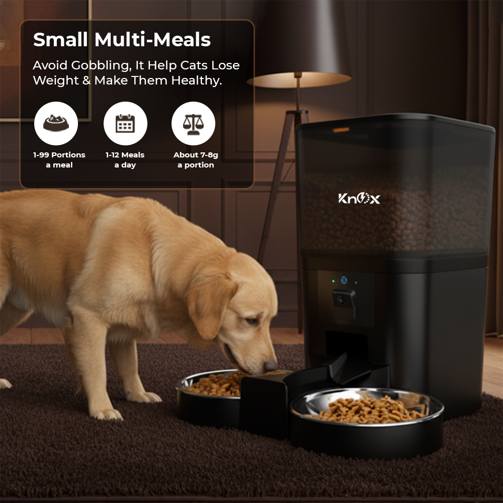 QQ009 Smart Dual Bowl Automatic Pet Feeder 6L