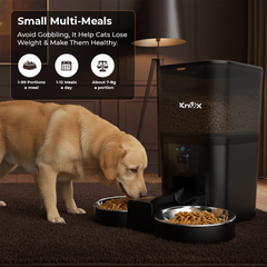 QQ009 Smart Dual Bowl Automatic Pet Feeder 6L