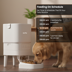 PF13 Single Bowl Automatic Pet Feeder 4L