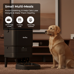 PF11 Single Bowl Automatic Pet Feeder 4L