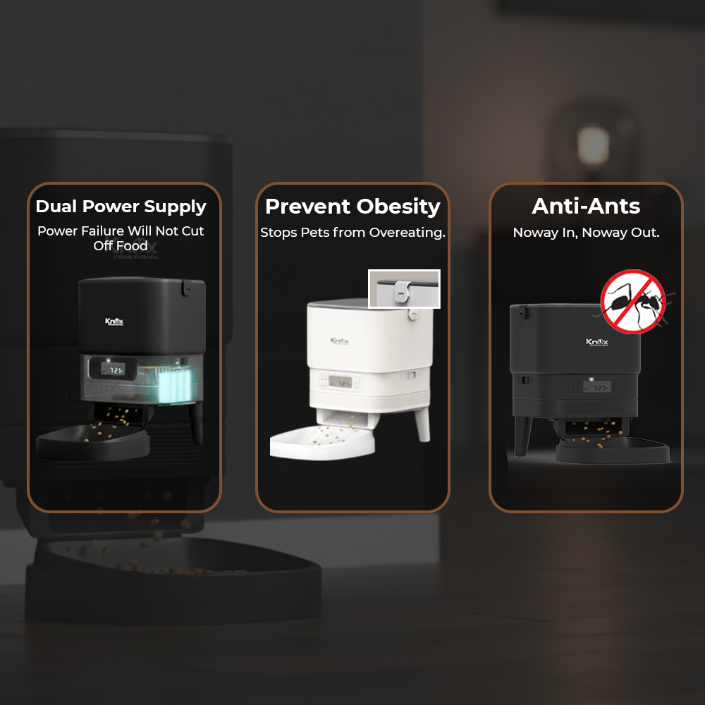 PF11 Single Bowl Automatic Pet Feeder 4L