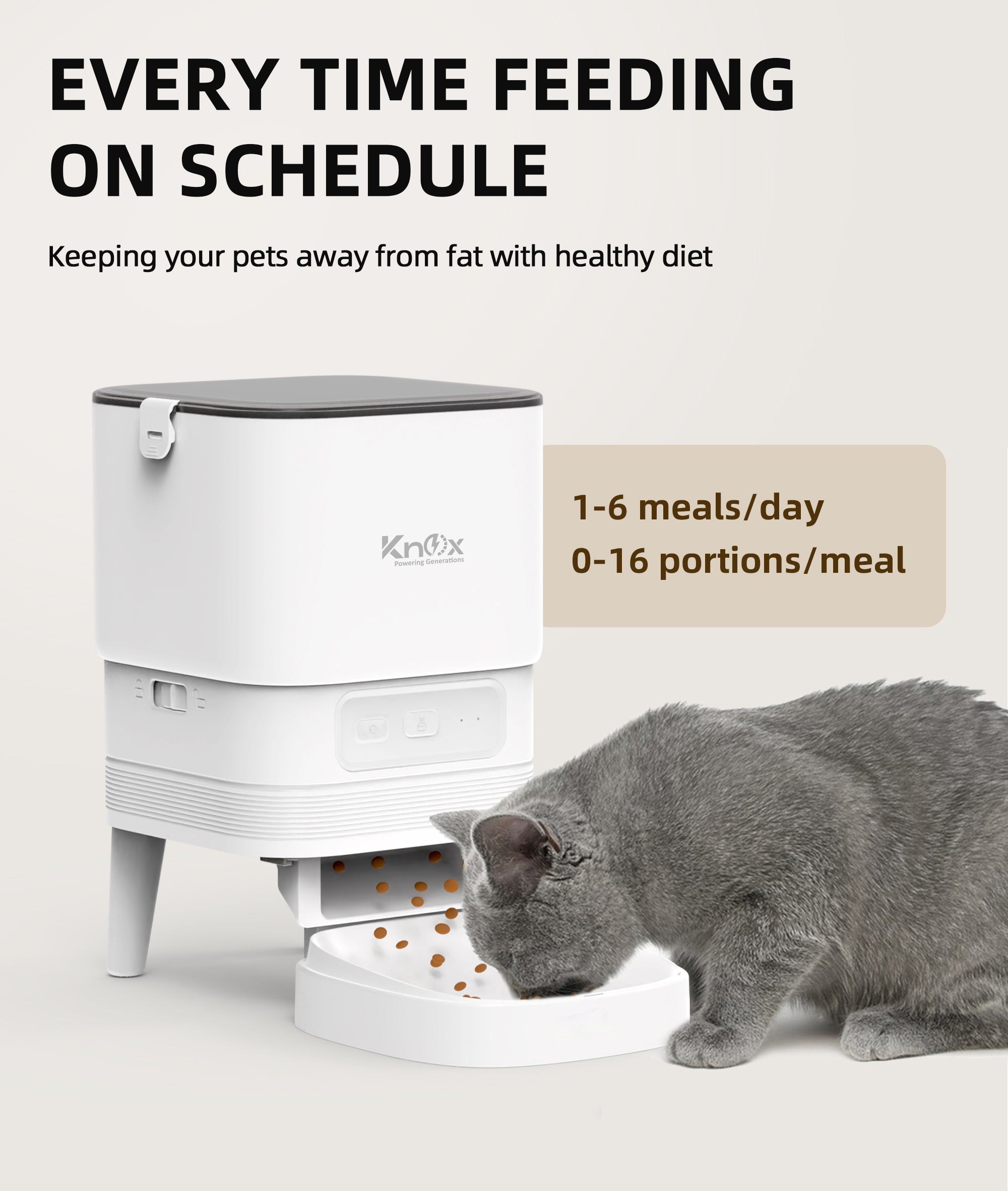 PF13 Single Bowl Automatic Pet Feeder 4L