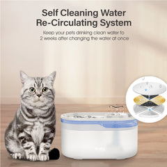 WF006 Smart Pet Water Drinking Fountain/Dispenser